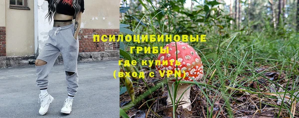 прущие крисы Няндома