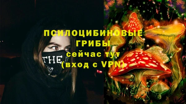 mdpv Нягань